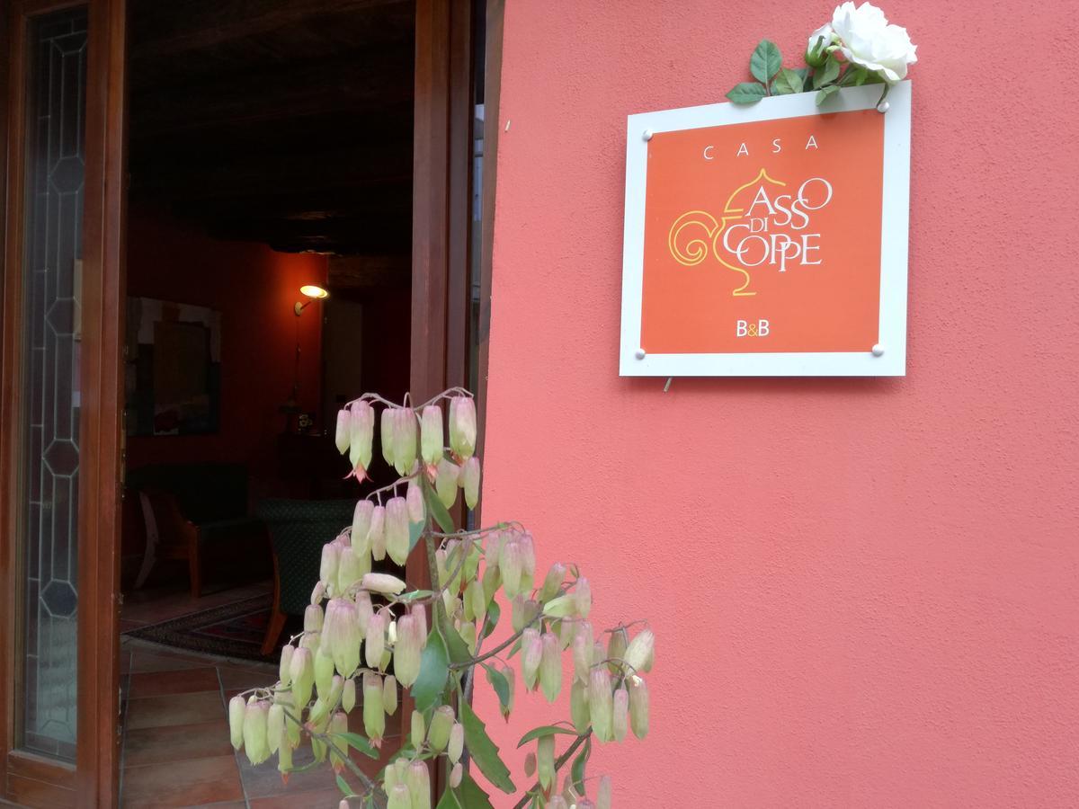 Casa Asso Di Coppe B&B Alba (Piedmont) Exterior foto