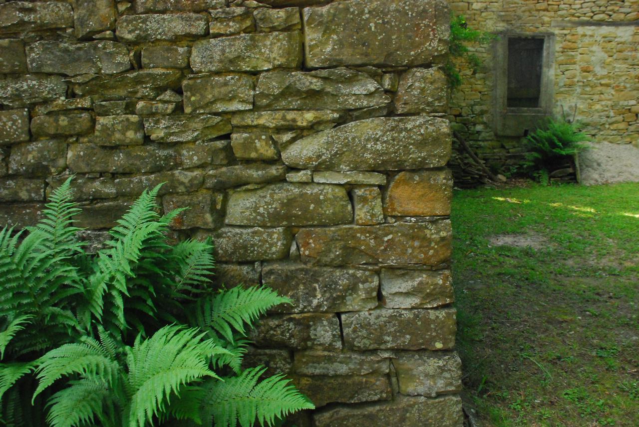 Casa Asso Di Coppe B&B Alba (Piedmont) Exterior foto
